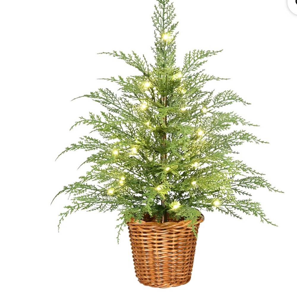 24" Pre-Lit Green Cypress Christmas Tree w 30 Warm LED Lights, by My Texas House